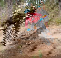 Fox Superflow sealed by Stan's Race  Greenvalleys - Accommodation Gladstone