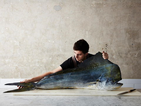 National Photographic Portrait Prize - Accommodation Gladstone 0