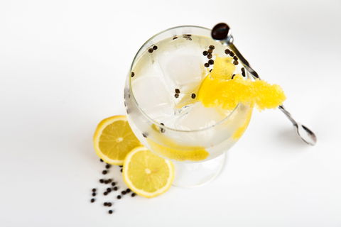 Online Live Streaming Class: Make Four Gin Cocktails - Accommodation Gladstone 0