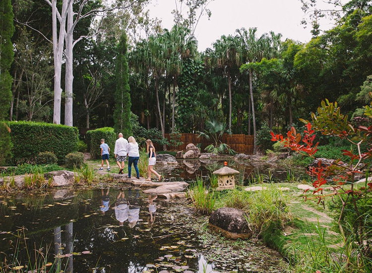 Visit the Tondoon Botanic Gardens