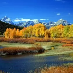 Montana