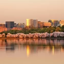 Virginia
