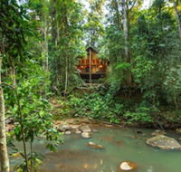 The Canopy Rainforest Treehouses and Wildlife Sanctuary - Accommodation Gladstone