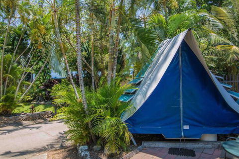 Tasman Holiday Parks - Airlie Beach - Accommodation Gladstone 5