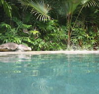 Daintree Rainforest Retreat - Accommodation Gladstone