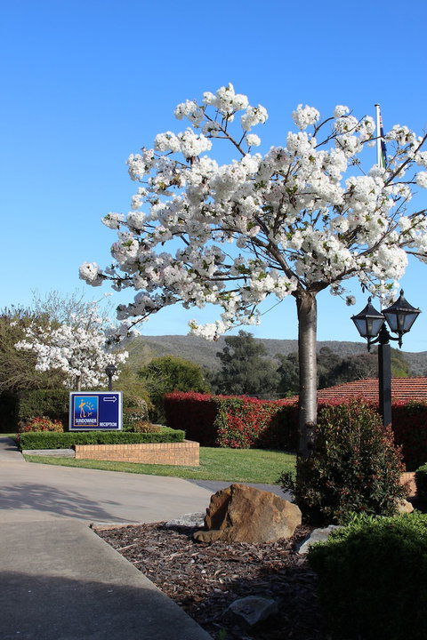 Hume Country Motor Inn - Accommodation Gladstone 0