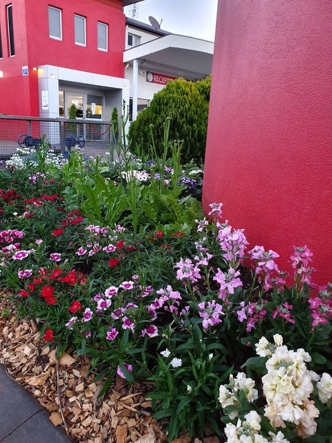 City Golf Club Motel - Accommodation Gladstone 2