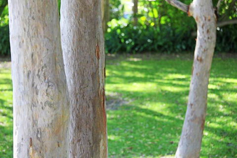 The Retreat Port Stephens - Accommodation Gladstone 2