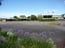 The Barossa Motel - Accommodation Gladstone 6