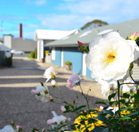 Captains At The Bay - Accommodation Gladstone