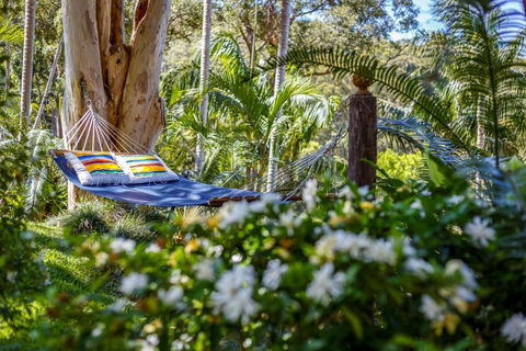 Sensom Luxury Bed & Breakfast - Accommodation Gladstone 3
