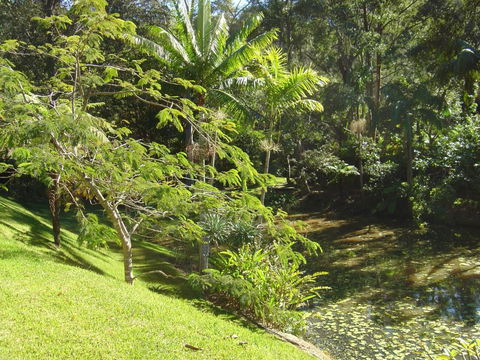 Sensom Luxury Bed & Breakfast - Accommodation Gladstone 5