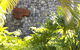 Qualia - thumb 1