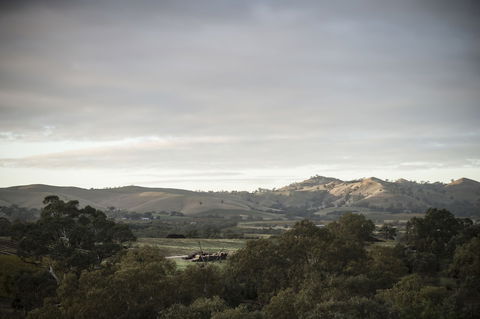 Novotel Barossa Valley Resort - Accommodation Gladstone 1