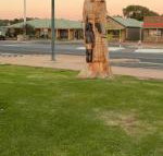 Lake Albert Motel - Accommodation Gladstone