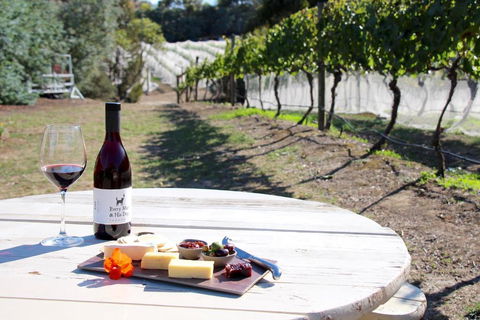 Every Man & His Dog Vineyard - Accommodation Gladstone 3
