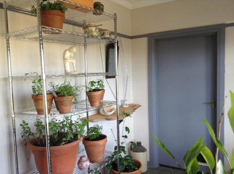 Springmead B & B - Accommodation Gladstone 1