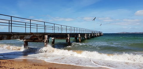 Port Lincoln Caravan Park - Accommodation Gladstone 3