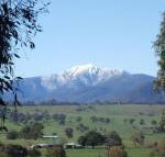 Off Mountain Accommodation - Accommodation Gladstone