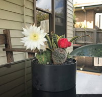 Port Campbell Guesthouse  Flash Packers - Accommodation Gladstone