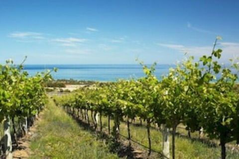 McLaren Vale Backpackers - Accommodation Gladstone 6
