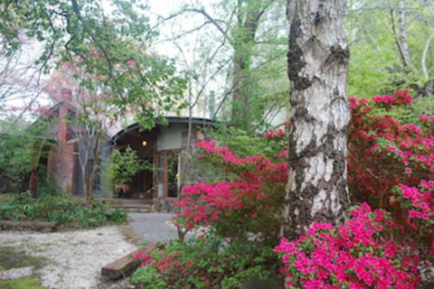 Rocky Creek Art Garden B&B - Accommodation Gladstone 0