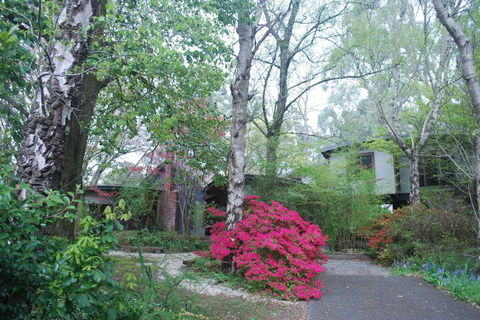 Rocky Creek Art Garden B&B - Accommodation Gladstone 5