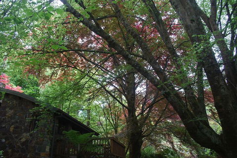 Rocky Creek Art Garden B&B - Accommodation Gladstone 2