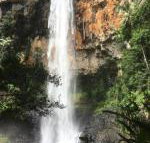 Purling Brook Falls Gwongorella - Accommodation Gladstone