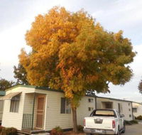 Wodonga Caravan  Cabin Park - Accommodation Gladstone