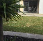 Ella House Adelaide - Accommodation Gladstone