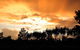 Berry Creek Bush Retreat - thumb 3