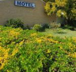Esk Motel - Accommodation Gladstone