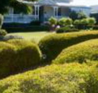 Whiskey Gully Wines - Accommodation Gladstone