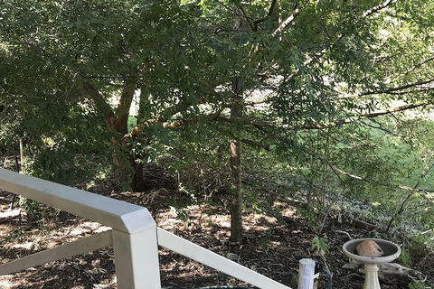 Padthaway Caravan Park - Accommodation Gladstone 4