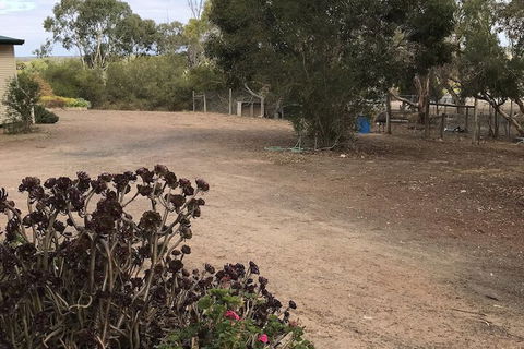 Padthaway Caravan Park - Accommodation Gladstone 1