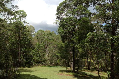 Maleny Country Cottages - Accommodation Gladstone 3