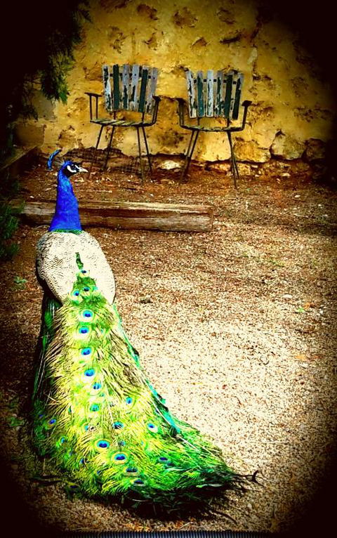 A La Folly - Accommodation Gladstone 4