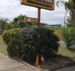 Golden West Motor Inn - Accommodation Gladstone