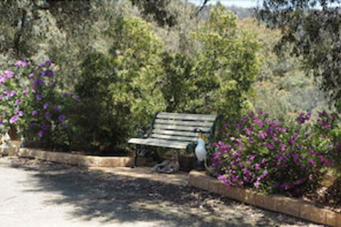 Wild Cherry Bed & Breakfast - Accommodation Gladstone 3