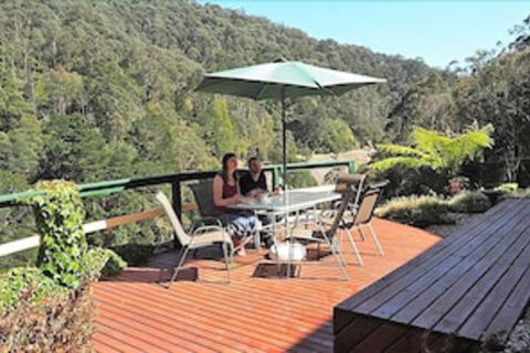 Wild Cherry Bed & Breakfast - Accommodation Gladstone 4