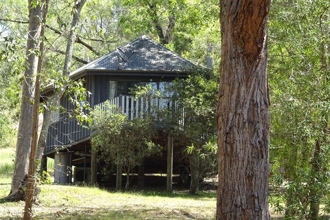Barrington Tops Nest - Accommodation Gladstone 2