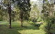 Barrington Tops Nest - thumb 1