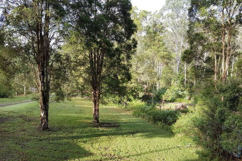 Barrington Tops Nest - Accommodation Gladstone 1