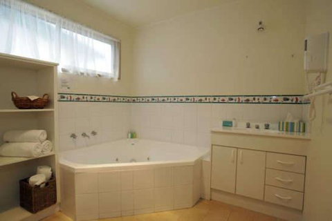 BIG4 Anglesea Holiday Park - Accommodation Gladstone 2