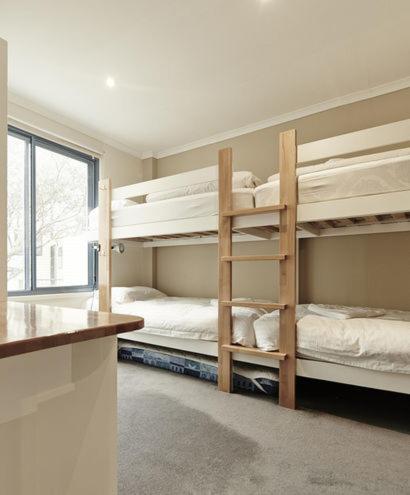 Valley View 203 - Accommodation Gladstone 4