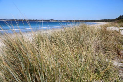 Sandy Toes Beach House Jervis Bay 2min To Beach - Accommodation Gladstone 2