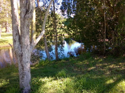 Eumundi Cottages Cottage 1 - Accommodation Gladstone 4