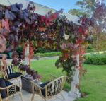 The Cottage - Accommodation Gladstone