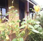 Albion Cottage - Accommodation Gladstone